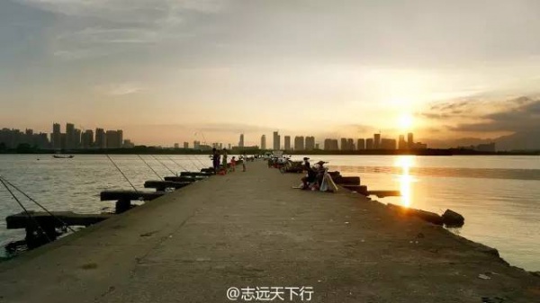 羨慕之極丨千與千尋里的海上列車竟然真的有，廈門人民有福了~
