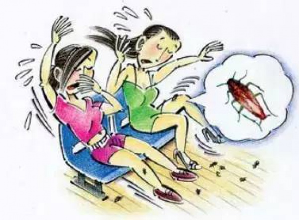 集美這十條公車路線“禁食”，無(wú)飲食車廂時(shí)代來(lái)臨，你準(zhǔn)備好了嗎？