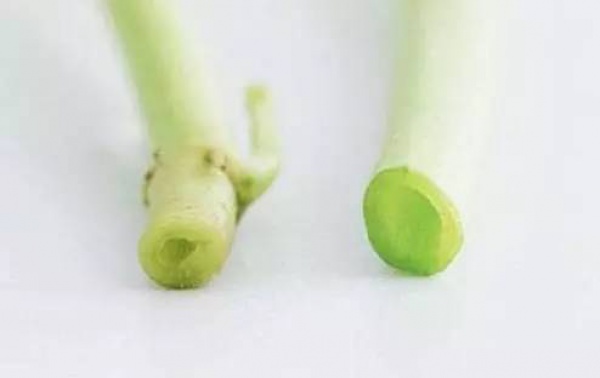 夏天吃空心菜，好處這么多！但是，千萬別跟這些東西同時(shí)吃！