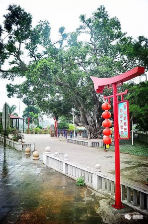 翔安有個(gè)名副其實(shí)的美麗小山村...