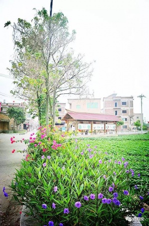 翔安有個(gè)名副其實(shí)的美麗小山村...