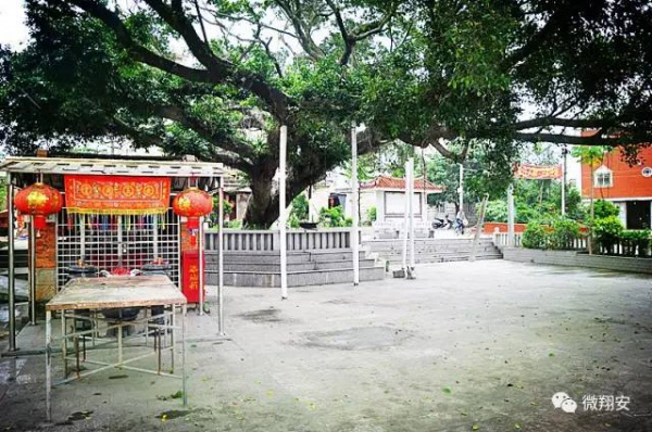 翔安有個(gè)名副其實(shí)的美麗小山村...