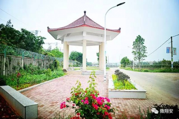 翔安有個(gè)名副其實(shí)的美麗小山村...