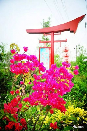 翔安有個(gè)名副其實(shí)的美麗小山村...