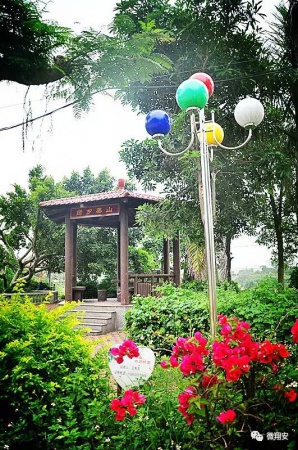 翔安有個(gè)名副其實(shí)的美麗小山村...