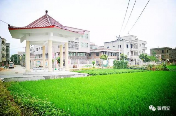 翔安有個(gè)名副其實(shí)的美麗小山村...