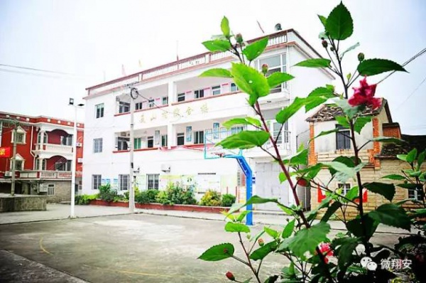 翔安有個(gè)名副其實(shí)的美麗小山村...