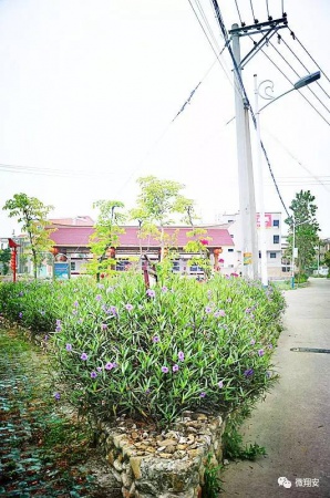 翔安有個(gè)名副其實(shí)的美麗小山村...