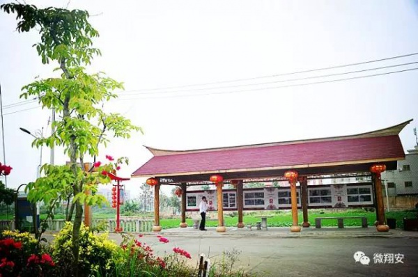 翔安有個(gè)名副其實(shí)的美麗小山村...