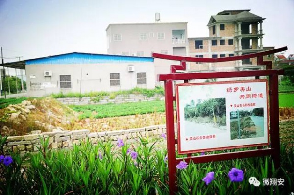 翔安有個(gè)名副其實(shí)的美麗小山村...