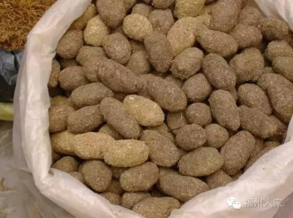 端午習(xí)俗丨奇葩的捉鴨子、四角狗、熏黃煙…你家是福建哪里的？
