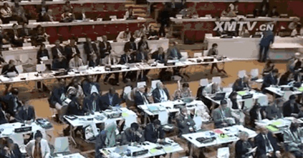 重磅快訊！鼓浪嶼申遺成功！準備了九年，我們終于做到了！