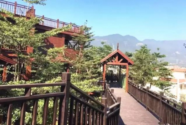 吸引十多萬人參觀！灌口這些“老古董”紅遍廈漳泉