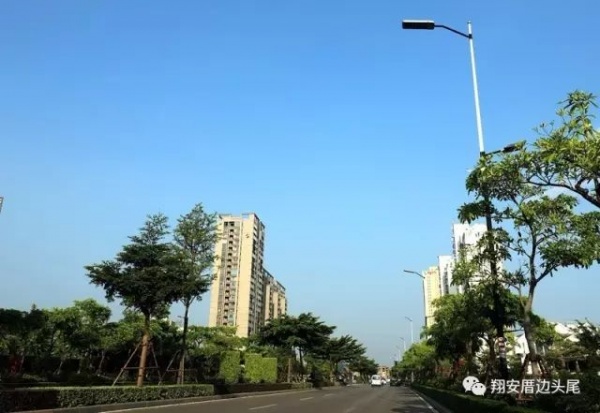 鳳凰涅槃！莫蘭蒂一周年，這些感動(dòng)全翔安的畫面你還記得嗎？