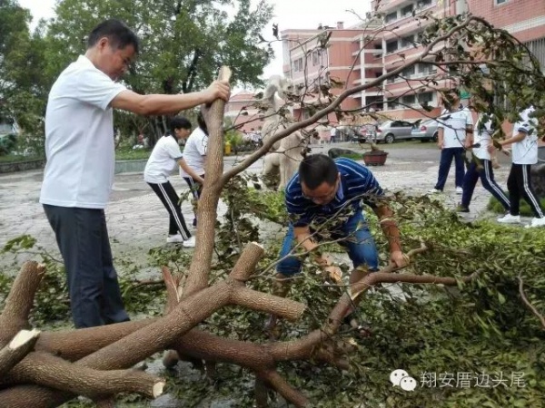 鳳凰涅槃！莫蘭蒂一周年，這些感動(dòng)全翔安的畫面你還記得嗎？