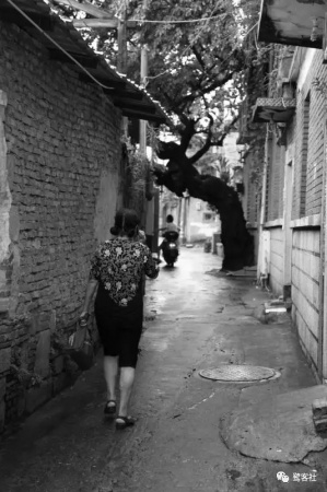 千年古街：泉州文人洪泓奇文寫(xiě)西街，不看完不是泉州人