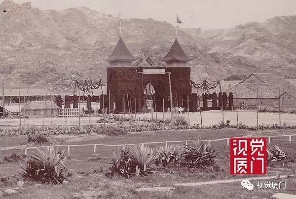 呼吁：請(qǐng)廈門市政府給龍舌蘭一個(gè)“市草”的頭銜
