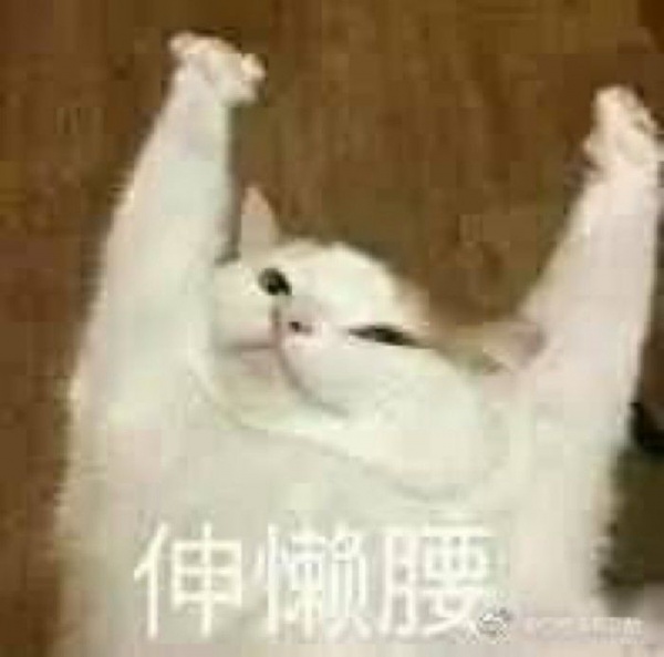 注意！臺(tái)風(fēng)“蘭恩”生成，或?qū)⒊沙瑥?qiáng)臺(tái)風(fēng)！未來(lái)幾天，廈門(mén)將...