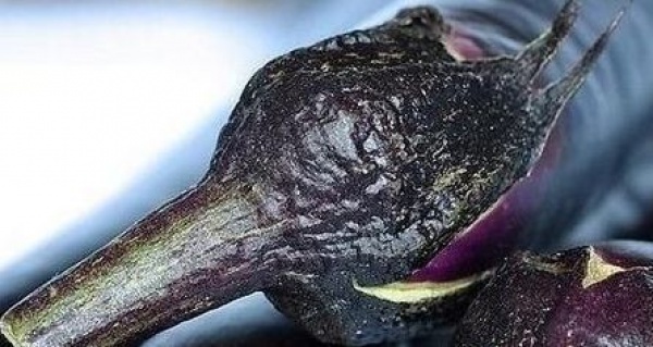 茄子這樣吃，勝過10副藥，可你還老把這些好東西扔掉！