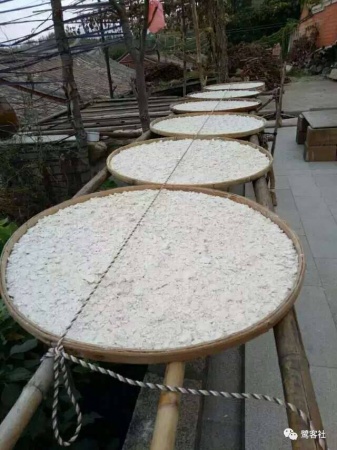 南安官橋曙光村（一）：向北，向北，直到那飄蕩著地瓜香的土地