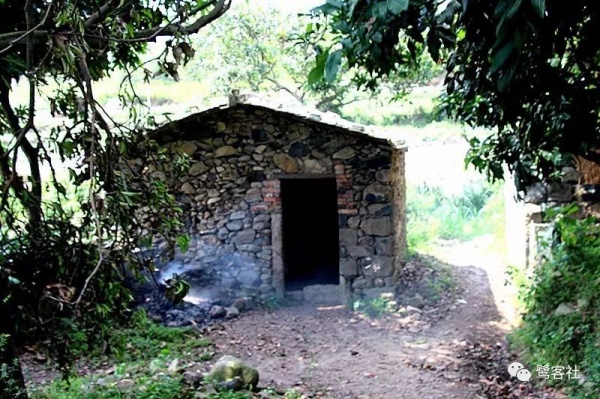 南安官橋曙光村（一）：向北，向北，直到那飄蕩著地瓜香的土地