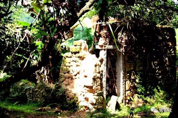 南安官橋曙光村（一）：向北，向北，直到那飄蕩著地瓜香的土地