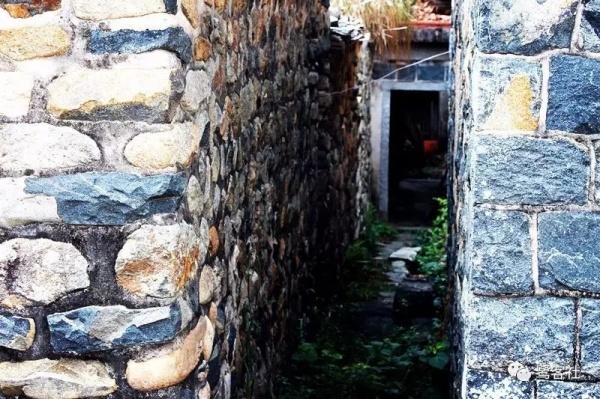 南安官橋曙光村（一）：向北，向北，直到那飄蕩著地瓜香的土地
