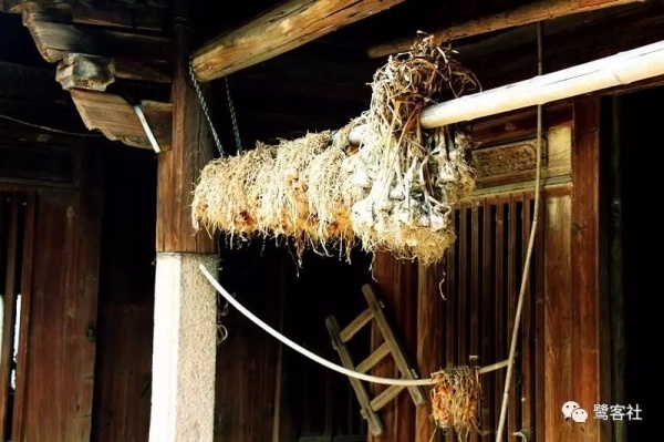 南安官橋曙光村（一）：向北，向北，直到那飄蕩著地瓜香的土地