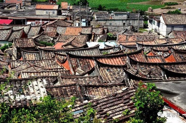 南安官橋曙光村（一）：向北，向北，直到那飄蕩著地瓜香的土地