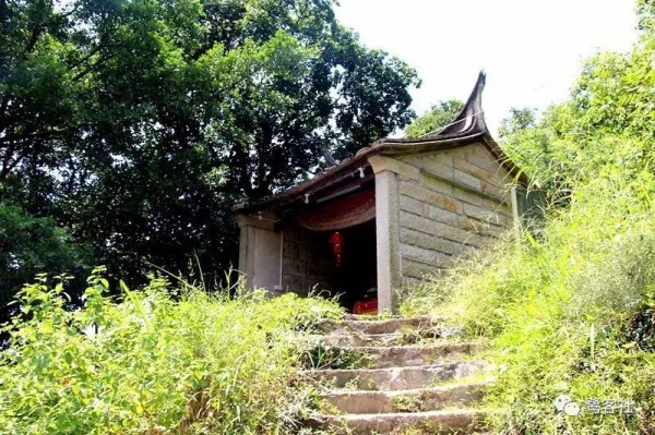 南安官橋曙光村（一）：向北，向北，直到那飄蕩著地瓜香的土地