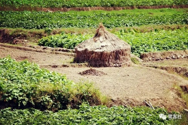 南安官橋曙光村（一）：向北，向北，直到那飄蕩著地瓜香的土地