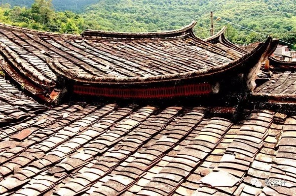 南安官橋曙光村（一）：向北，向北，直到那飄蕩著地瓜香的土地