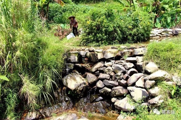 南安官橋曙光村（一）：向北，向北，直到那飄蕩著地瓜香的土地