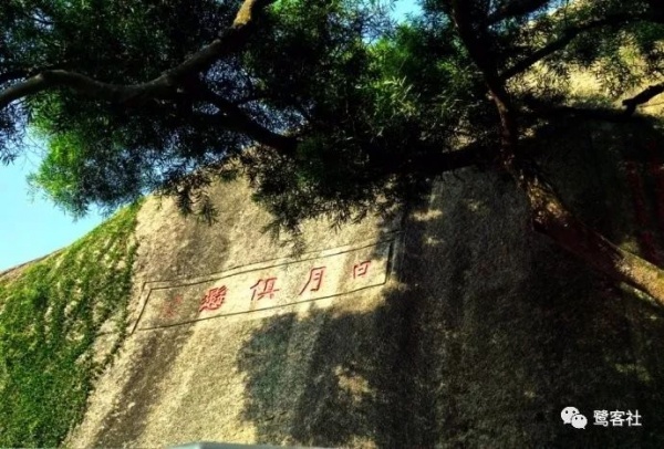 廈門記憶：蔡元培曾逃難廈門，夜宿鼓浪嶼，調(diào)解集大學潮，好奇于文昌魚，刻詩日光巖