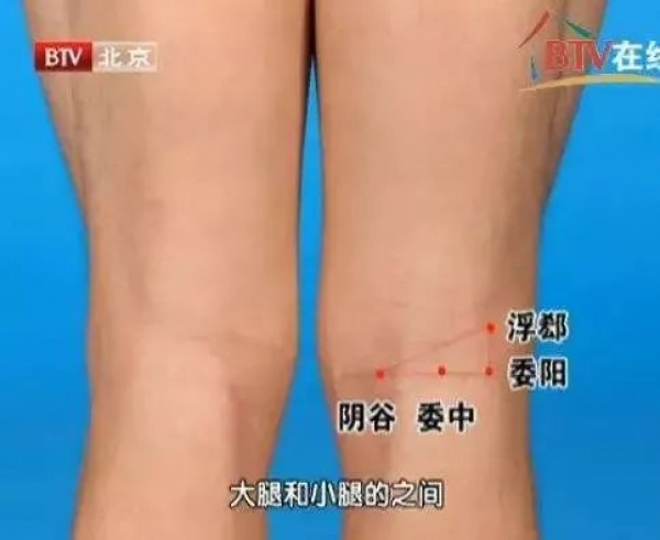 快看看你身體的10大黃金三角區(qū)！小心保護(hù)，養(yǎng)好了，百病不擾！