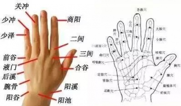 快看看你身體的10大黃金三角區(qū)！小心保護(hù)，養(yǎng)好了，百病不擾！